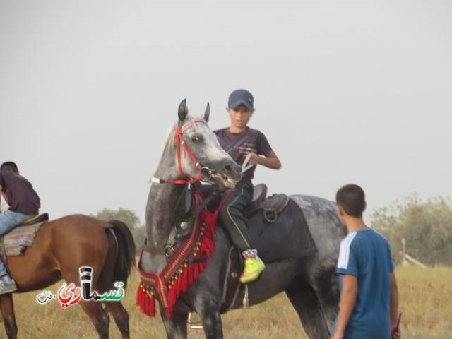 فيديو : فتيان وشباب كفرقاسم في مهرجان الخيول القسماوية في سهل البلدة .. لكن ينقصهم الدعم والرعاية من البلدية  